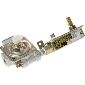 GE WB19K10044 Genuine OEM Valve and Pressure Regulator